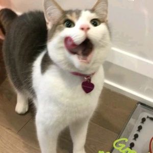 Meet your Posher, Michele